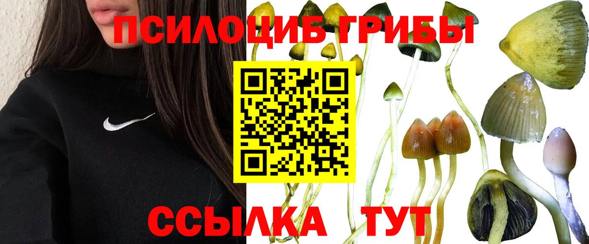 Галлюциногенные грибы GOLDEN TEACHER Саяногорск